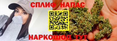 молекула духа Сланцы